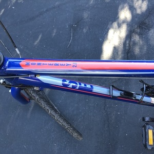 2016 SE Bikes Monterey 2.0 Blue and Red