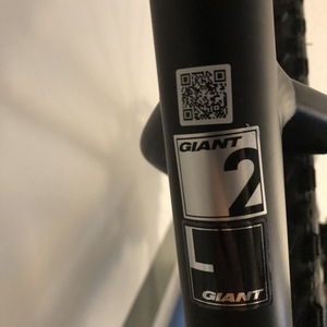 2018 Giant Fathom 2 Silver, gray or bare metal, Orange, and Black