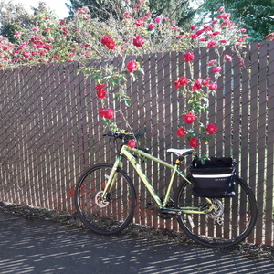 Trek Green