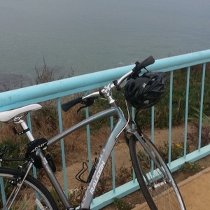 2013 Raleigh Alysa Ft0  Silver or Gray and Teal