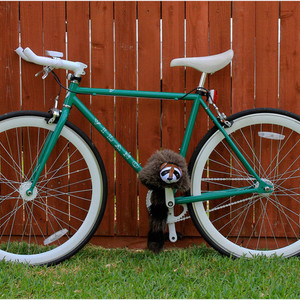 Vilano 4130 Chromoly  Green