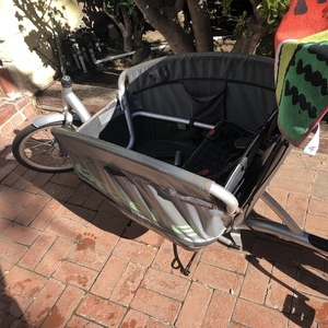 Gazelle Cabby Silver, gray or bare metal