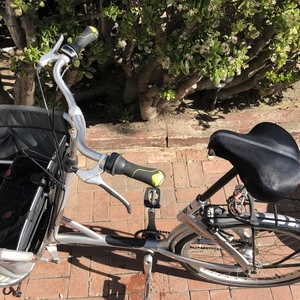 Gazelle Cabby Silver, gray or bare metal