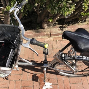 Gazelle Cabby Silver, gray or bare metal