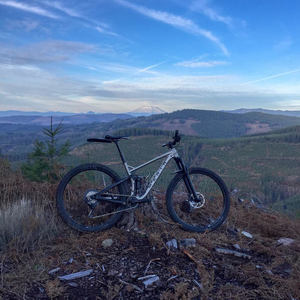2018 Marin Bikes Rift Zone/B17 Silver, gray or bare metal