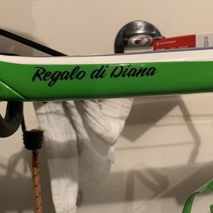 2013 Trek Domane 6.9 (Compact) White, Blue, and Green