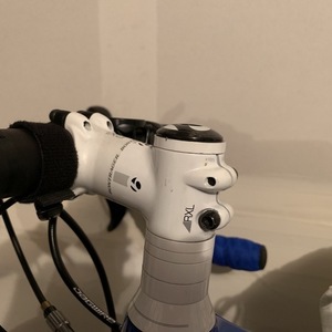 2013 Trek Domane 6.9 (Compact) White, Blue, and Green