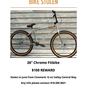 2018 Fit bike Co. Aitken Silver, gray or bare metal