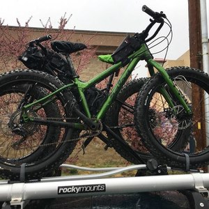 2015 Salsa Mukluk Green