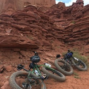 2015 Salsa Mukluk Green