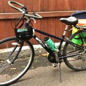 2011 Raleigh Detour 3.5 womens  Blue