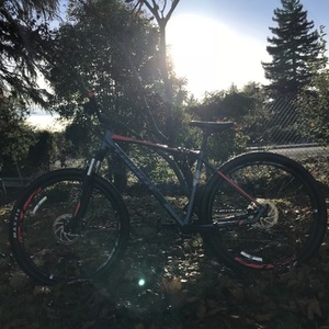 2019 Giant Talon 29er Blue and Orange