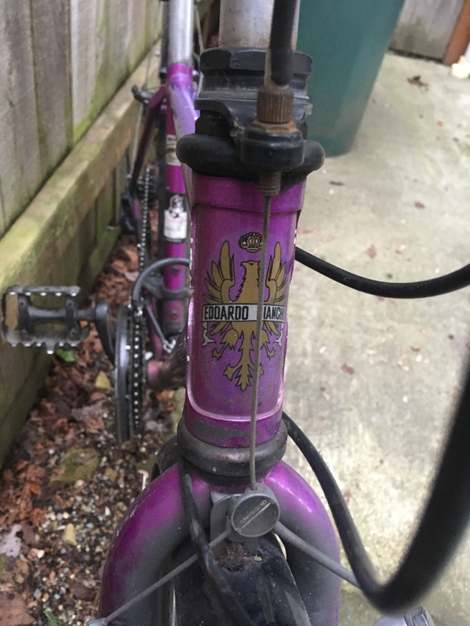 c*)様 Bianchi BIANCHI ( ビアンキ ) ロードバイク OLTRE XR3 DISC ( オルトレ