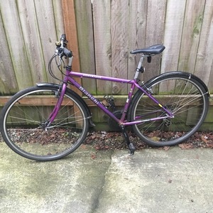 1993 Bianchi Advantage