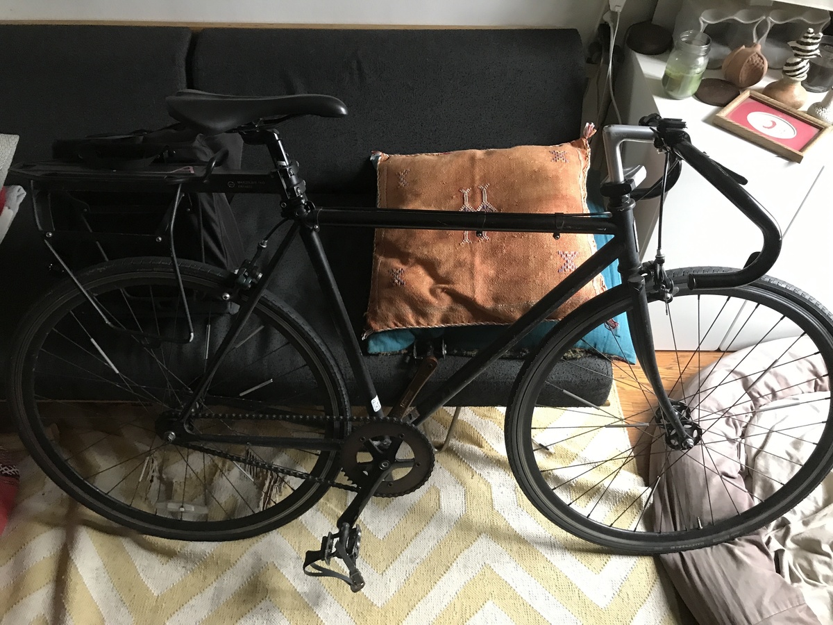 2013 Fuji Feather