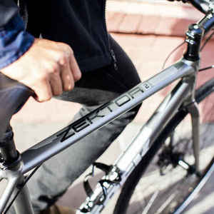 2017 Trek 17 Trek Zektor 2 Silver, gray or bare metal