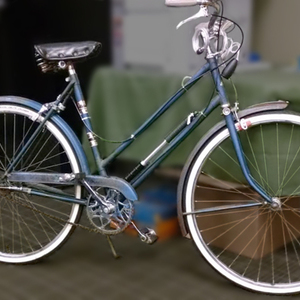 1965 Raleigh Sport  Blue