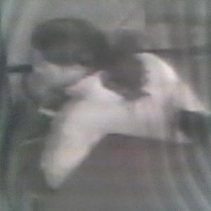 1965 Raleigh Sport  Blue