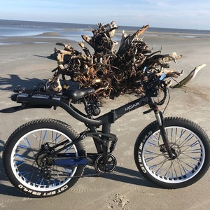 2019 MOAR Full suspension, folding aluminum electric Black