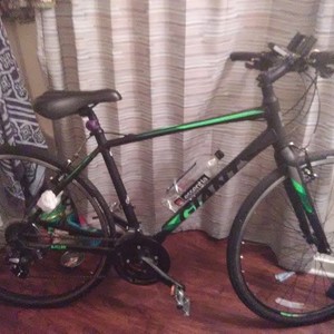 2018 Giant Escape Black and Green