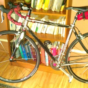 2009 Serotta fierte, 54s cm compact frame  Silver or Gray and Black