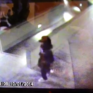 2010 Diamondback Sortie 1  White