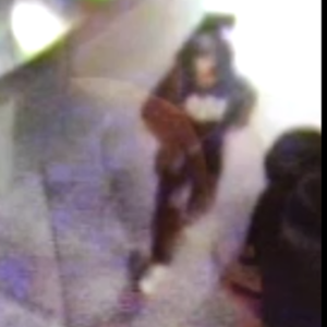 2010 Diamondback Sortie 1  White