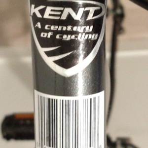 Kent GS72780 Silver, gray or bare metal and White