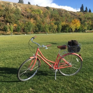 2018 Linus Dutchi Pink