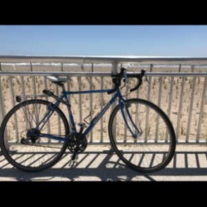 2004 Bianchi Volpe Blue