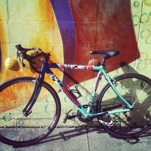 Bianchi Axis  Blue and Red