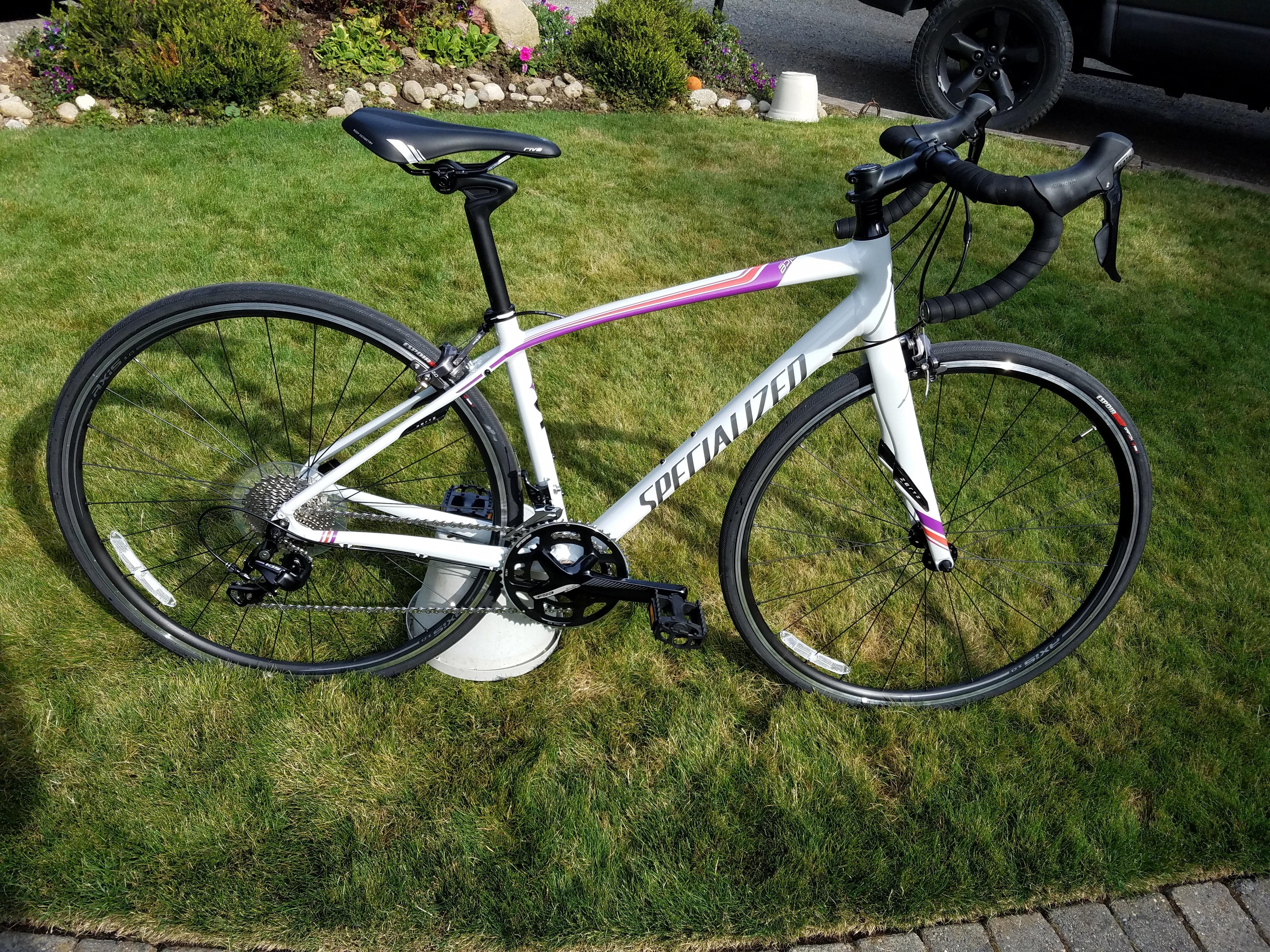 specialized dolce comp