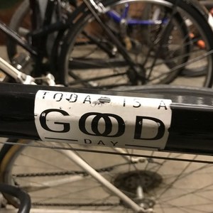 2019 Vitus Black and Green
