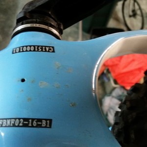 2016 Fatback Corvus Blue and White