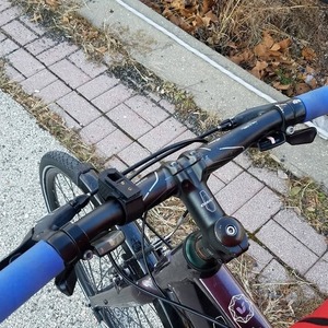 2016 Giant alight small Purple