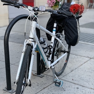 Trek 7.2 FX WSD White and Blue