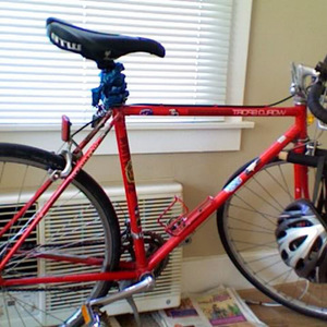 Schwinn World Sport Red