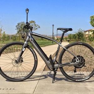 2015 Specialized Turbo Silver, gray or bare metal