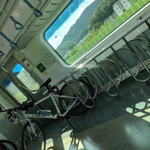 Trek FX 3 White