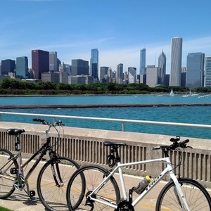 Trek FX 3 White