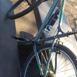 2019 Haro flightline Silver, gray or bare metal and Green