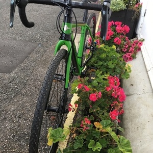 2017 Genesis Vapour Green