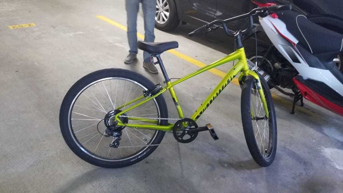 specialized roll elite ltd ii 2020