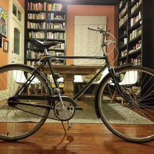 1965 Robin Hood Black
