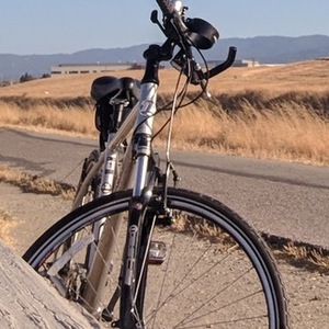2011 Novara Silver, gray or bare metal