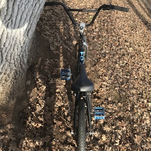 Other Bmx Black