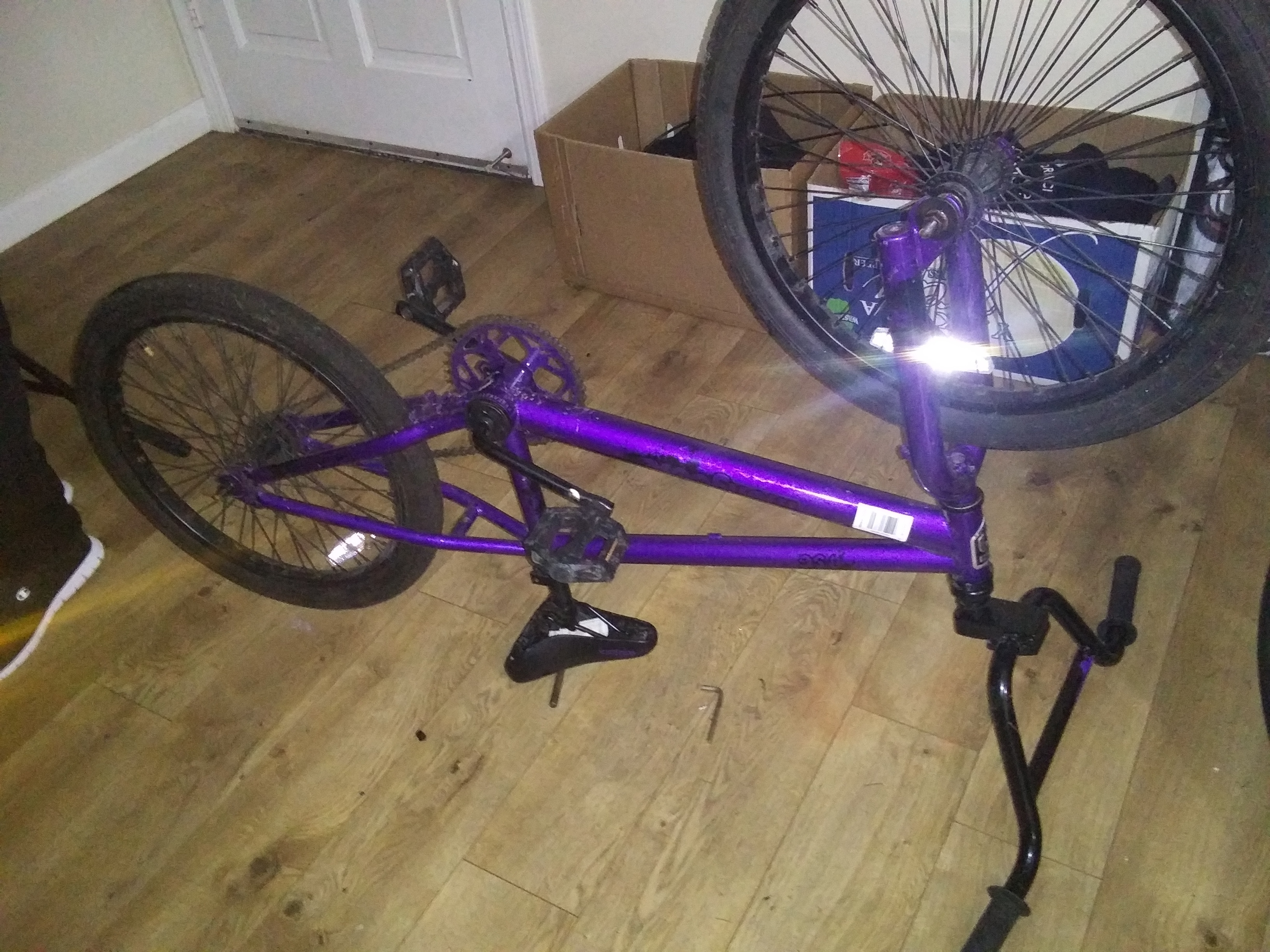 3g venice beach cruiser