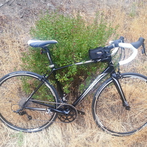 2014 Giant Avail 1  Black