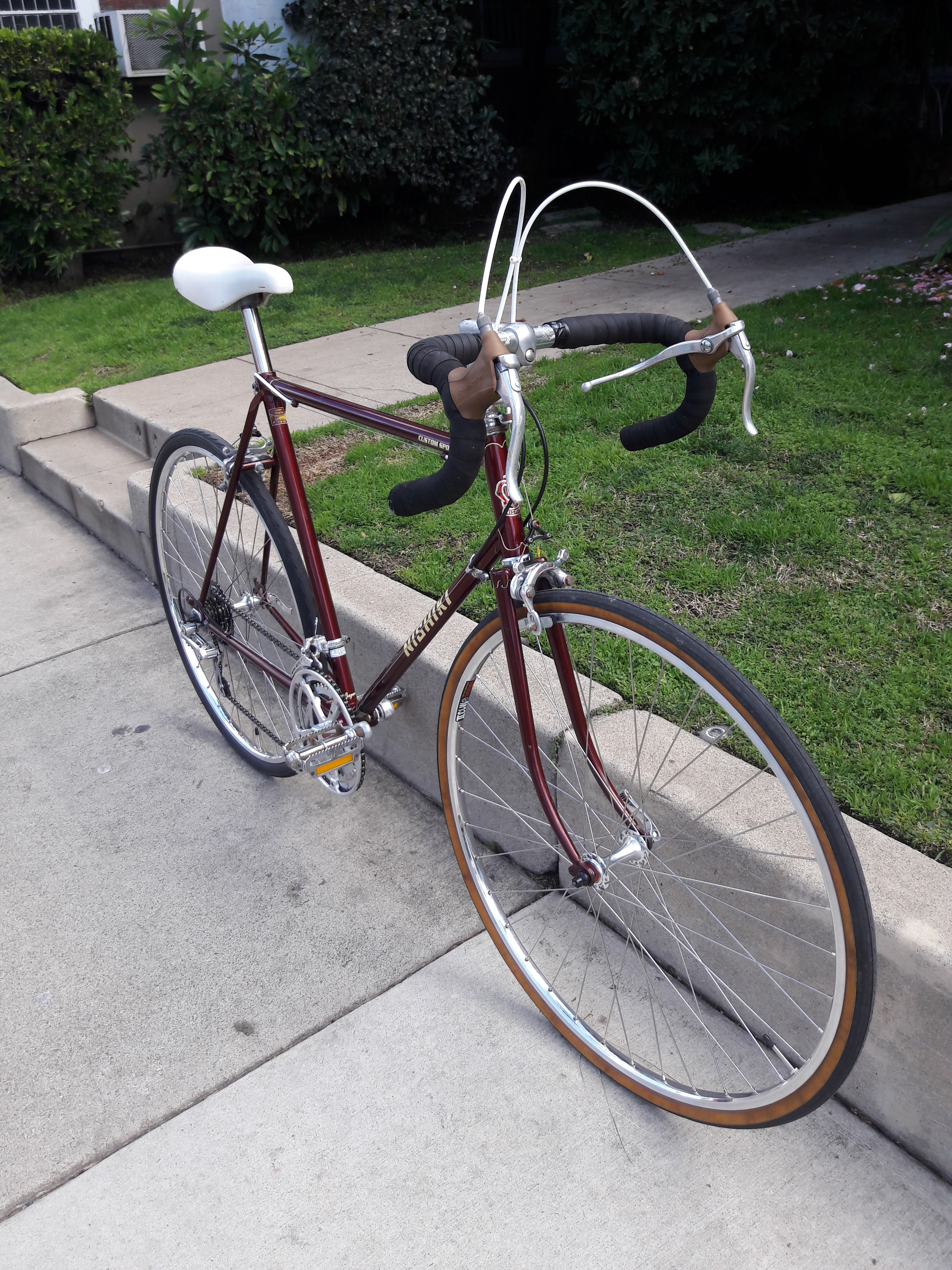 nishiki custom sport