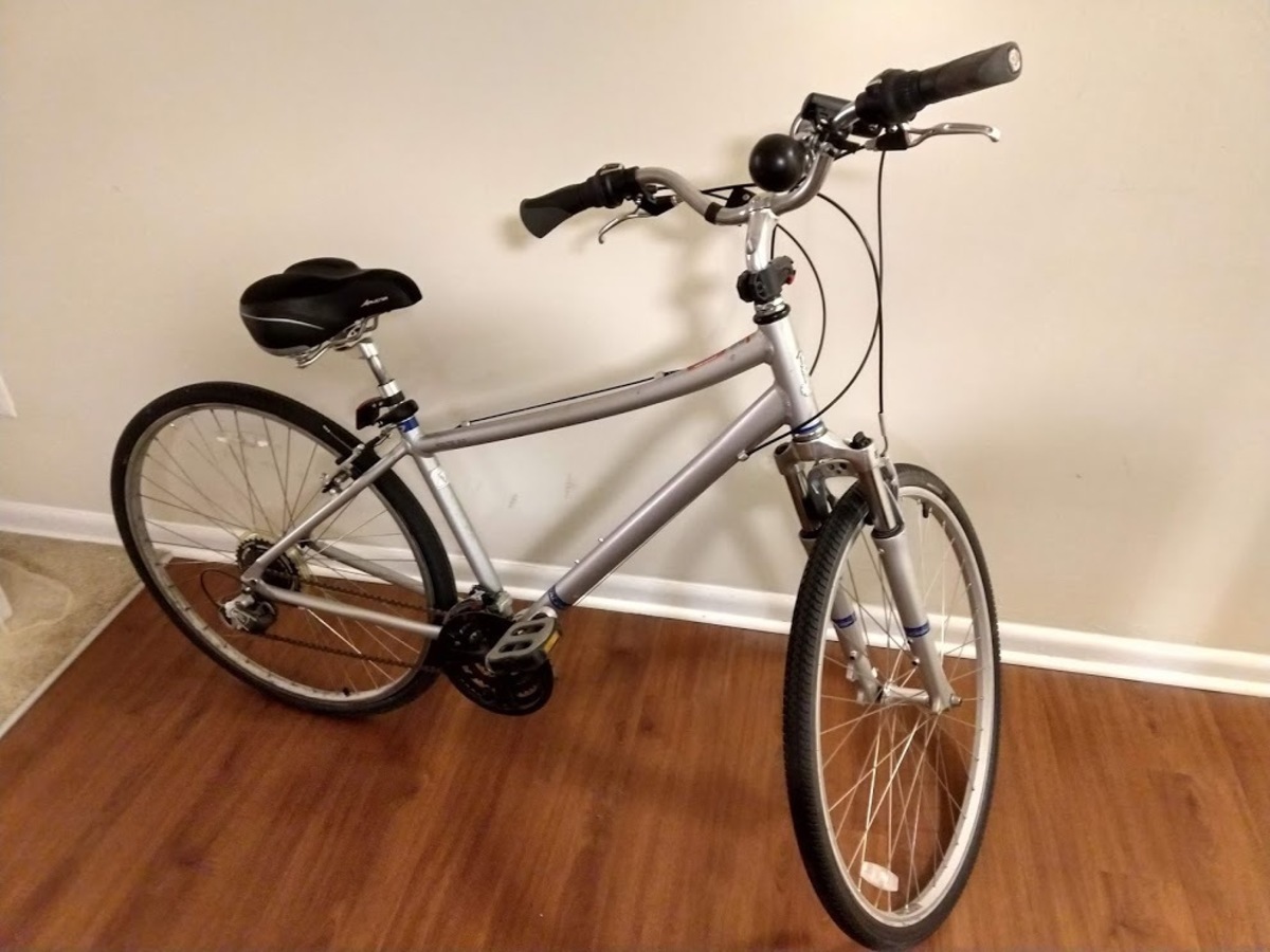 Bicycle Model R3013wmf Raleigh